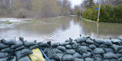 Sandbagging in Preparation for Floods