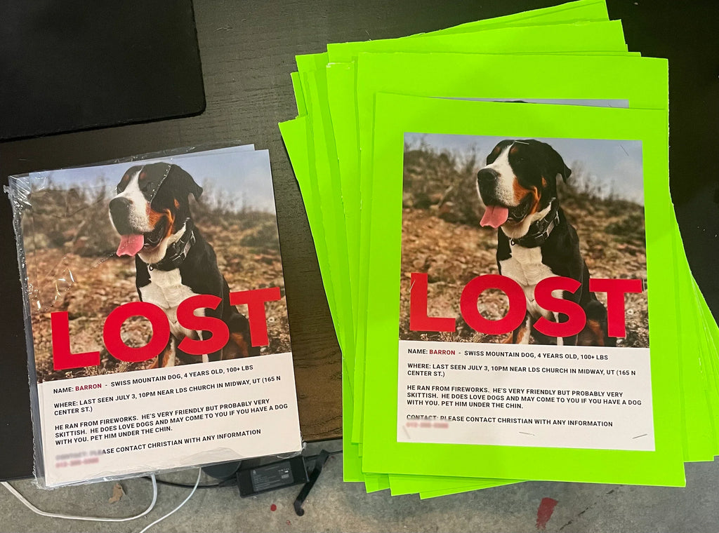 Found Dog Sign
