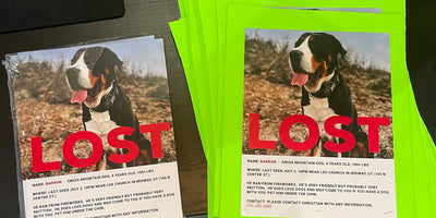 How To Find Your Lost Dog