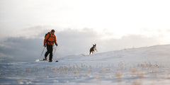 How to safely ski, hike and adventure with your dog.