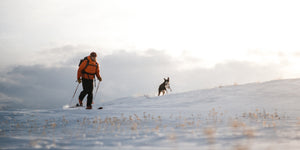 How to safely ski, hike and adventure with your dog.