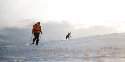 How to safely ski, hike and adventure with your dog.