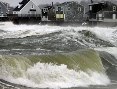 Coastal Storm Preparedness Guide