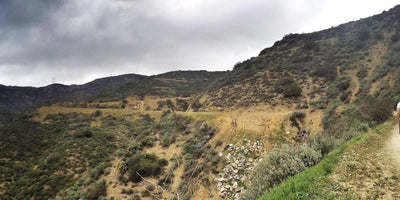 We Believe in Community, Preparation, and the Power of Working Together