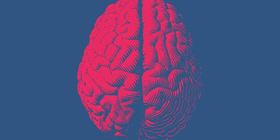 Brain Elasticity: How to Keep Your Mind Moving