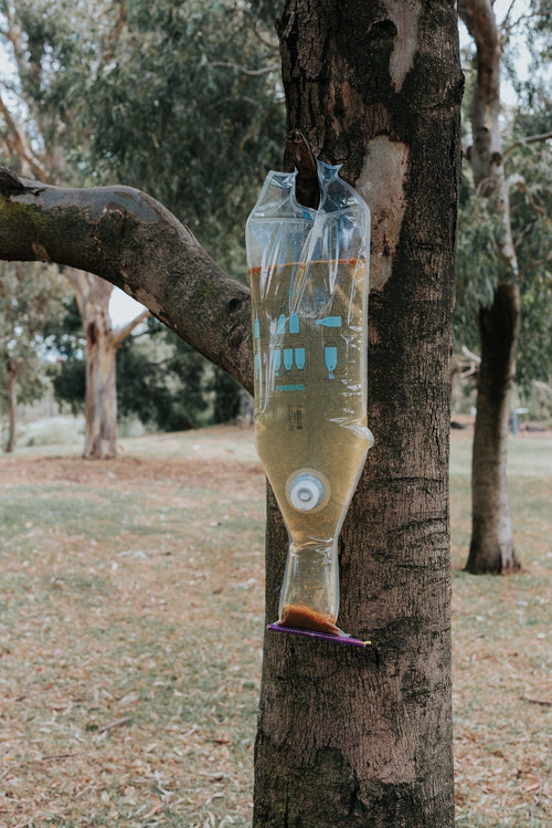 Puribag portable water filter bag hanging on a tree with dirty water