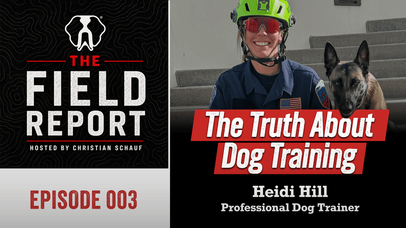 How Search-and-Rescue Experts Train the Perfect Dog: Heidi Hill, Professional Dog Trainer