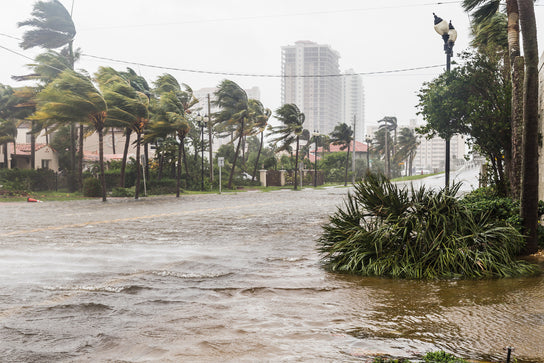 Hurricanes