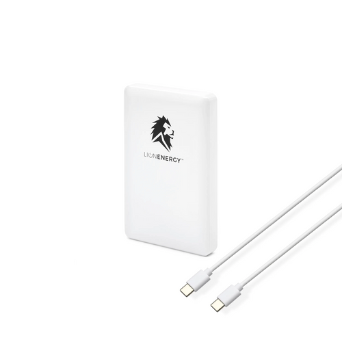 Lion Claw power bank with Lion Energy logo and two white USB-C cables