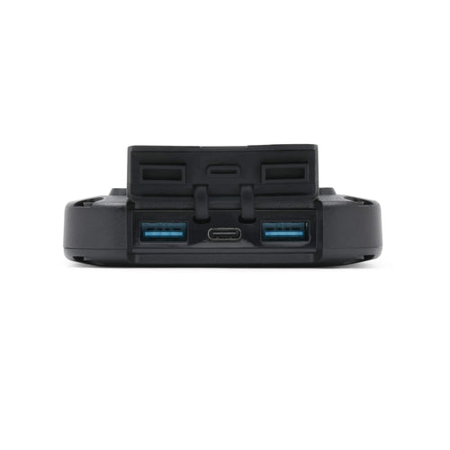Lion Cub portable power bank, black with two blue USB-A and one USB-C charging port