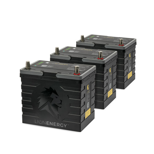 Three Lion Energy UT 1300 BT-H self-heating lithium iron phosphate batteries