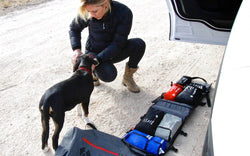 Woman and dog preparing Uncharted Supply Co survival system gear, including first aid and tools, next to a white car outdoors