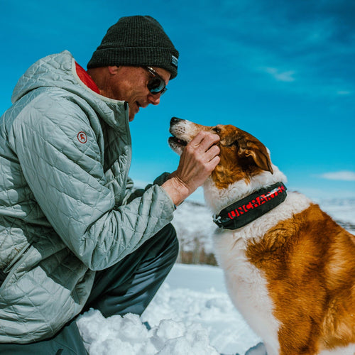 Man petting dog wearing the wolf pack collar