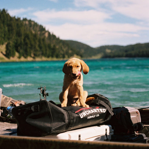 Dog sitting on a vault 65L duffel with a lake and mountain in the background