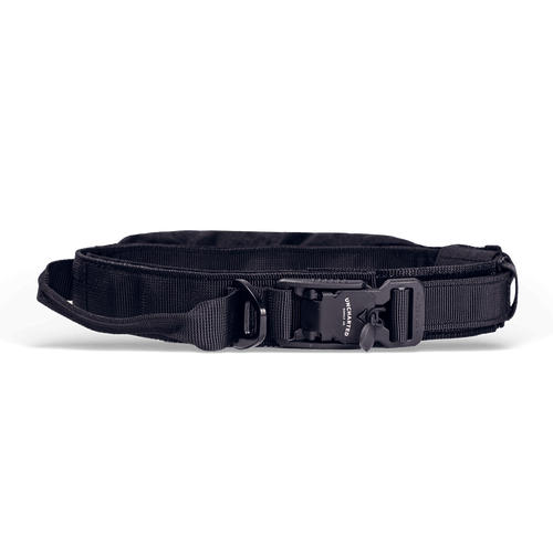 Showing the collar and claspe of the wolf pack collar