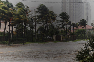 Hurricanes