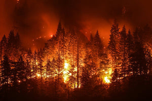 Wildfires
