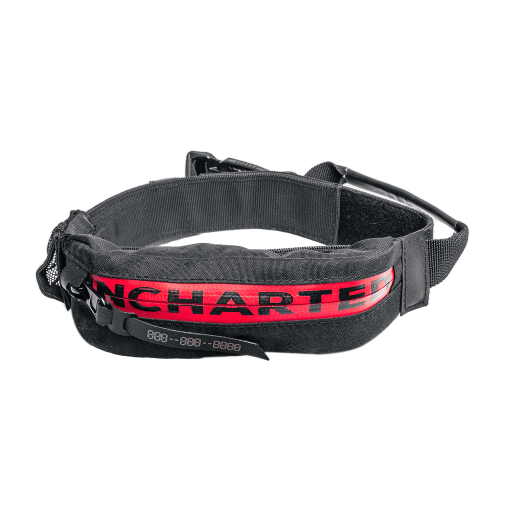 Pets First Collars  North Carolina State Wolfpack Ncaa Collar - Dog < Fred  Studio Photo