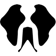 unchartedsupplyco.com